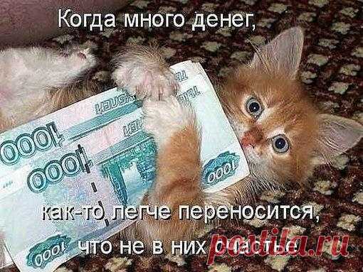 Когда много денег