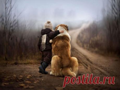 Дети и их четвероногие няньки