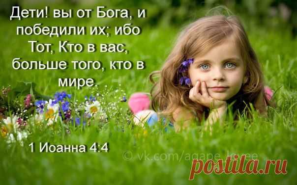 ♥...Агапэ..
«Если вы были в цирке или смотрели представление по телевизору, то вам знакомо выступления льва с дрессировщиком. Но задумывались ли вы когда-нибудь, почему вместе с плеткой, дрессировщик держит еще и стул и поворачивает его ножками к зверю?
Это для того, чтобы отвлечь льва. Видите, даже такой сильный зверь может быть обезврежен отвлекающими вещами.