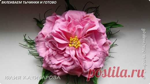ЧАЙНАЯ РОЗА