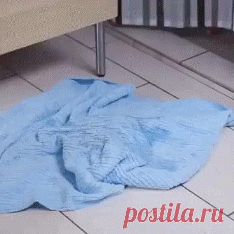 (2) Одноклассники