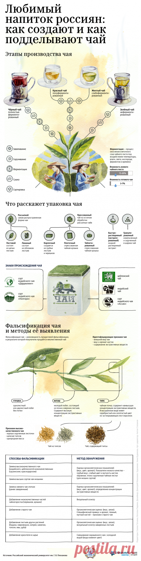 Любимый напиток россиян: как создают и как подделывают чай - РИА Новости, 27.06.2017