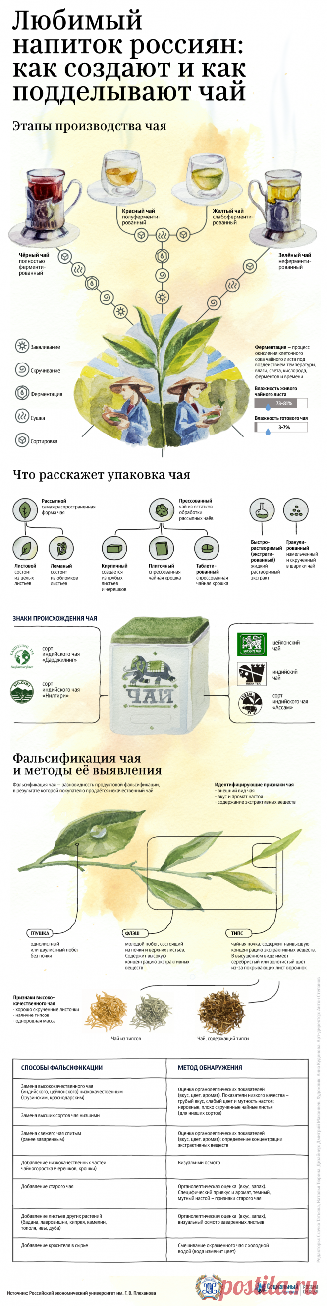 Любимый напиток россиян: как создают и как подделывают чай - РИА Новости, 27.06.2017