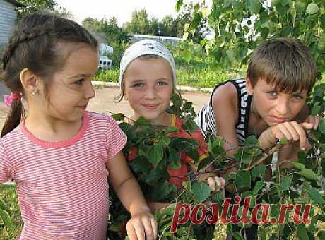 Внуки мои