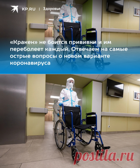 2023-«Кракен» не боится прививки и им переболеет каждый. Отвечаем на самые острые вопросы о новом варианте коронавируса - KP.RU