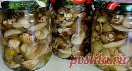 Маринованные маслята на зиму – 10 рецептов приготовления с пошаговыми фото Маринованные маслята на зиму – 10 рецептов приготовления с пошаговыми фото. Заходите на kylinariya.ru - будет вкусно! Новые рецепты каждый день!