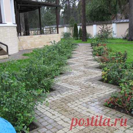 Строгая садовая дорожка из плитки с геометрическим узором.
#дача #сад #дизайн #ландшафтныйдизайн #ландшафт #коттедж #загородом #идея
Лучшие идеи обустройства загородных участков!
Присоединяйтесь 👉 @dacha_blog