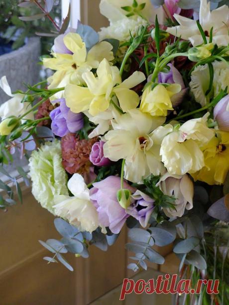 флористика