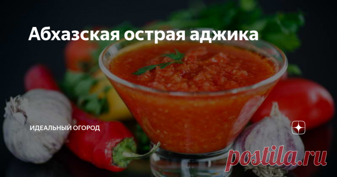 Абхазская острая аджика Абхазская острая аджика может быть как зеленой, так и красной. Ее цвет зависит от выбора сорта перца. Эта закрутка послужит пикантным дополнением ко вторым блюдам из птицы и мяса, а в небольшом количестве ее можно использовать при готовке супов и салатов.
