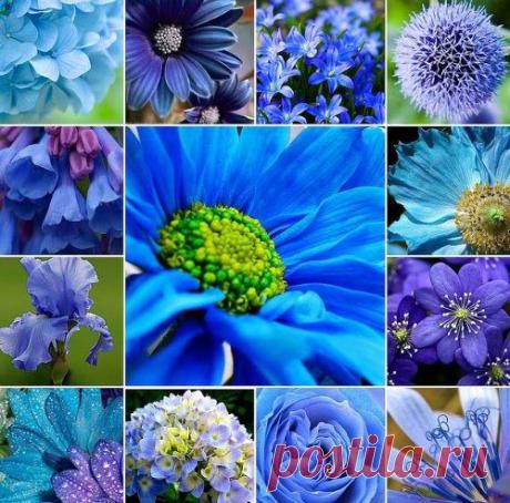 Фото группы | Фотографии КРАСИВЫЕ КАРТИНКИ. ВИДЕО. МИР, В КОТОРОМ МЫ ЖИВЕМ! | 9497 фото | Группы Мой Мир