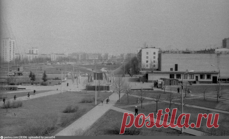 Фотография - Кузьминки - Фотографии старой Москвы