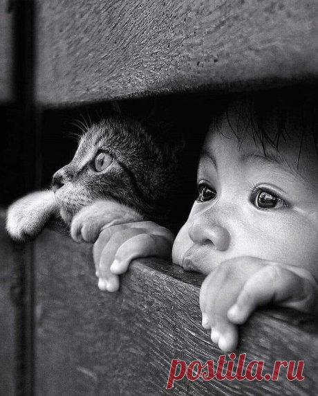 Группа «Женский сарказм»