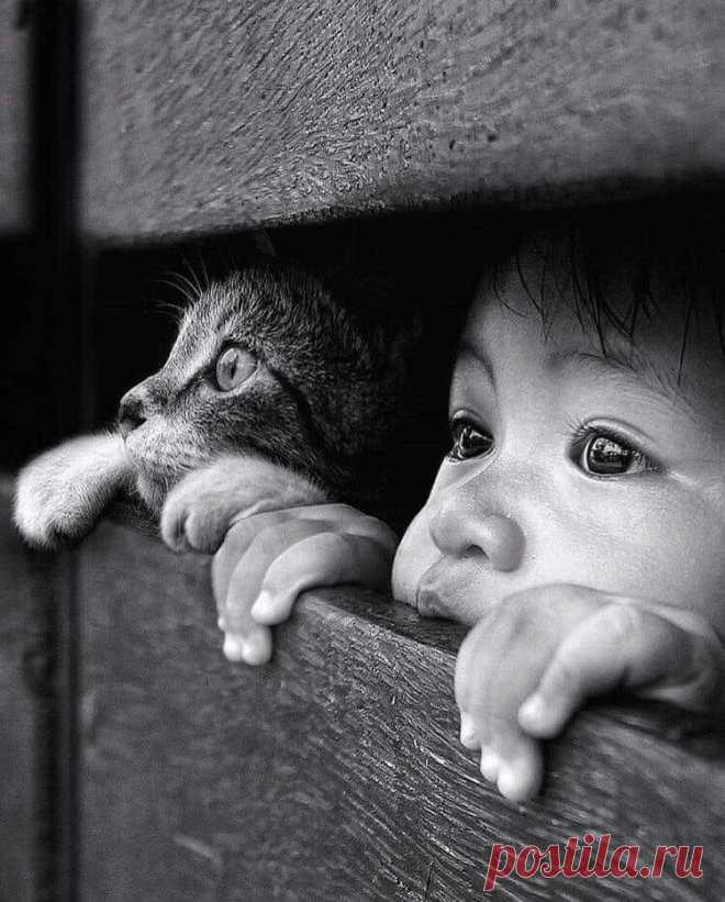 Группа «Женский сарказм»