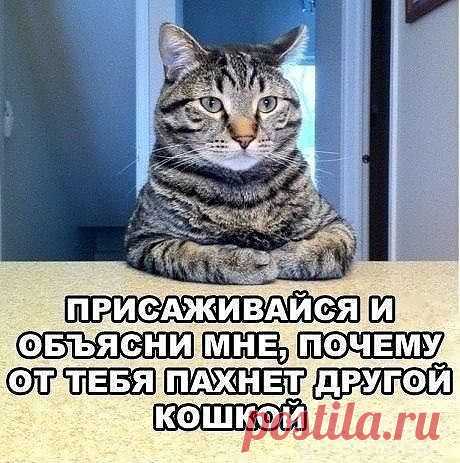 Допрос с пристрастим