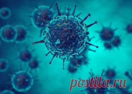 33 тип вирус папиллома у мужчин лечение - это одна из опасных разновидностей вируса папилломы человека. Его высокая онкогенность требует обязательного лечения, особенно у женщин.