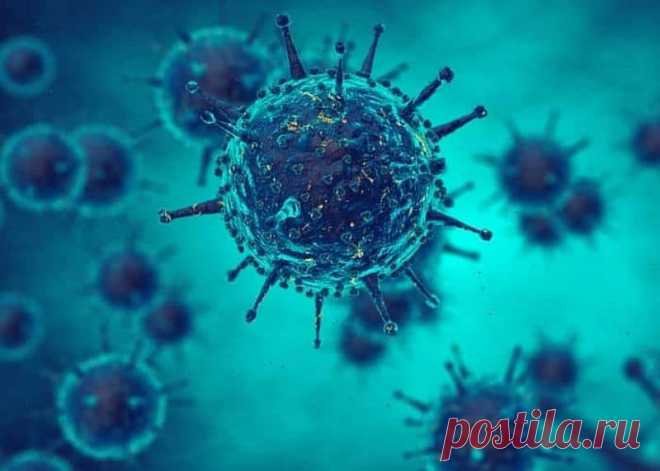 33 тип вирус папиллома у мужчин лечение - это одна из опасных разновидностей вируса папилломы человека. Его высокая онкогенность требует обязательного лечения, особенно у женщин.