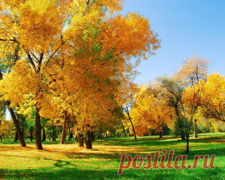 Фотографии на стене сообщества – 65 782 фотографии | ВКонтакте
