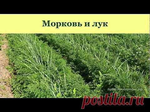 Новости интеллектуального развития: Садоводство