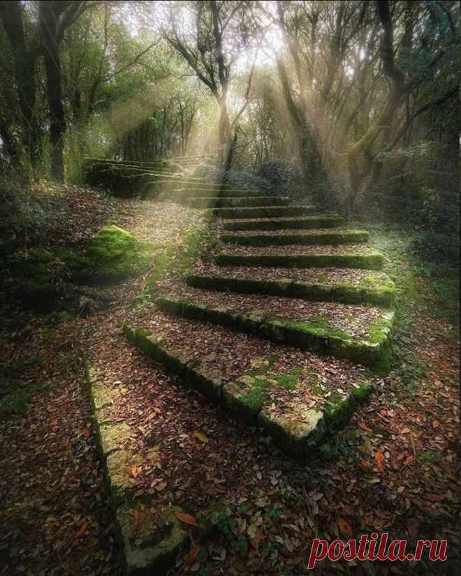 Испания, Кантабрия