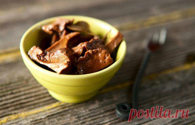 Вкусные маринованные грибы – подборка рецептов с фото | Статьи (Огород.ru)