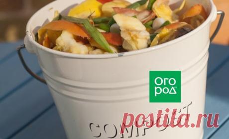 Огородные хитрости: Как быстро сделать компост в домашних условиях без грязи и запаха | Удобрения и стимуляторы (Огород.ru)