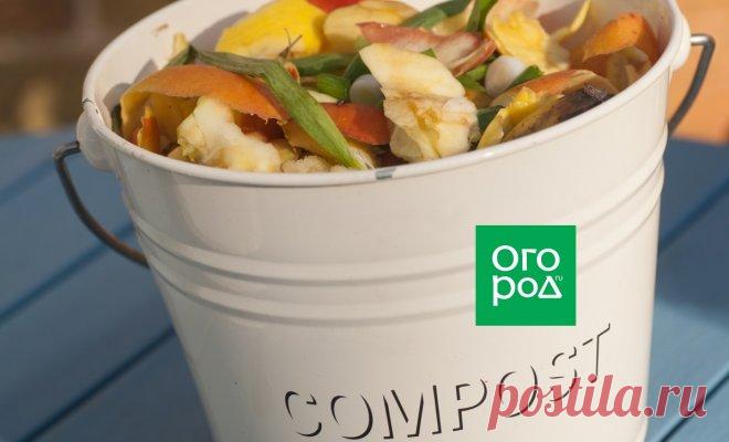 Огородные хитрости: Как быстро сделать компост в домашних условиях без грязи и запаха | Удобрения и стимуляторы (Огород.ru)