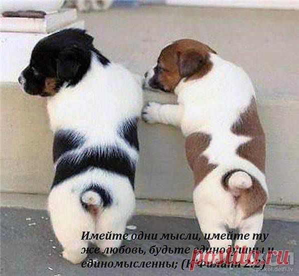 Chronik-Fotos - Православие и ты | Facebook