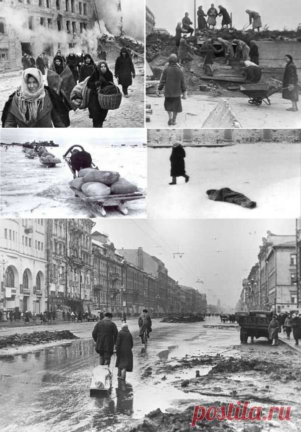 Что бы помнили... дневник блокадницы | Любители истории