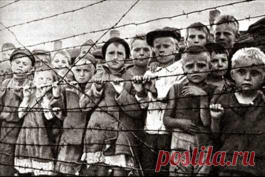 Письмо про ужасы фашизма