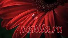 миланья целуева – Google+