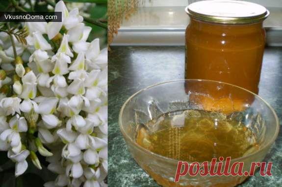 Мёд из цветов белой акации / Домашние рецепты. Готовим дома вкусно!