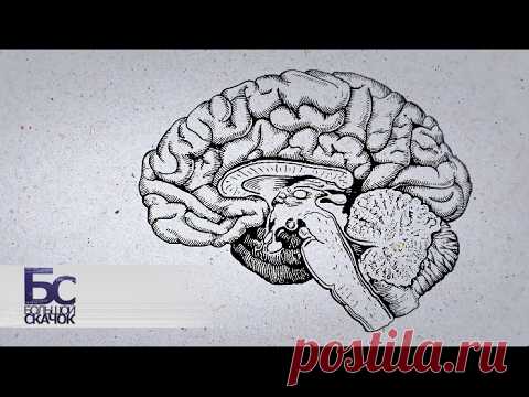 Хроническая усталость или лень: как определить и рецепты для избавления