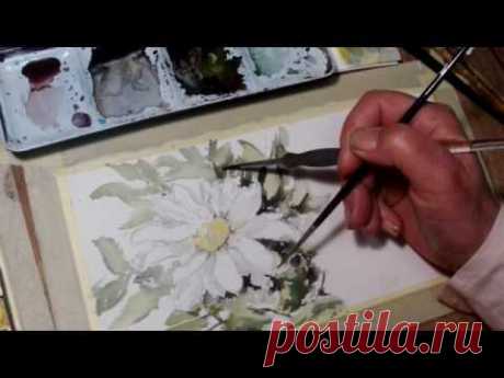 Hedwig's Art white flower watercolor