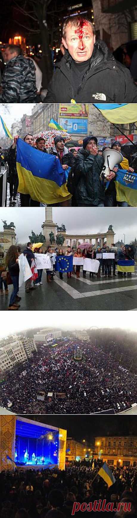 В схватке между беркутовцами и активистами есть раненые [Фото]