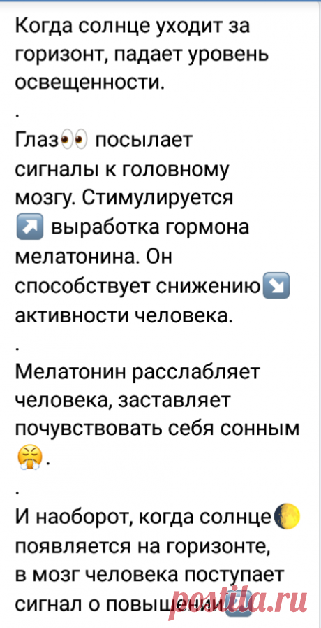 readmsg (480×937)