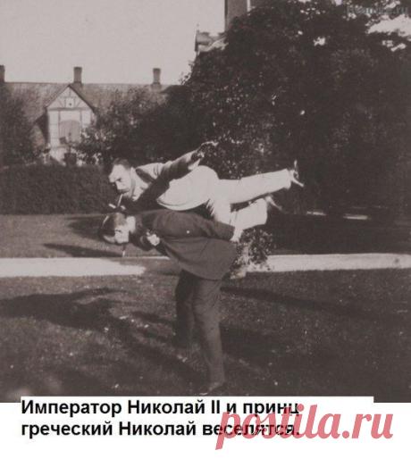 Анастасия Никитина