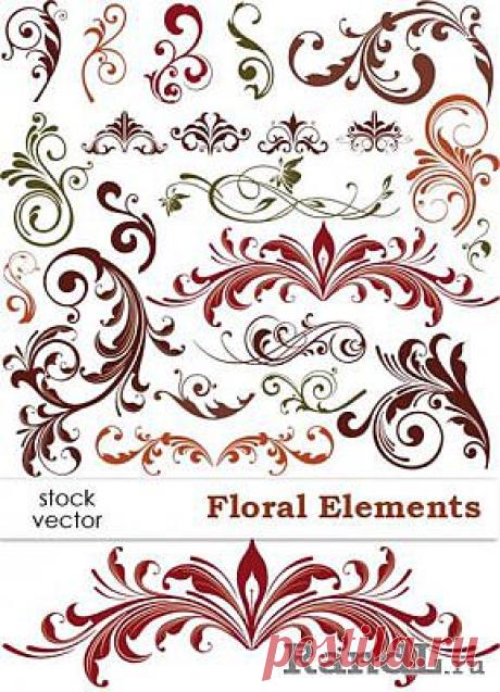 Vector - Floral Elements | Растительные элементы, вектор » RandL.ru - Все о графике, photoshop и дизайне. Скачать бесплатно photoshop, фото, картинки, обои, рисунки, иконки, клипарты, шаблоны.