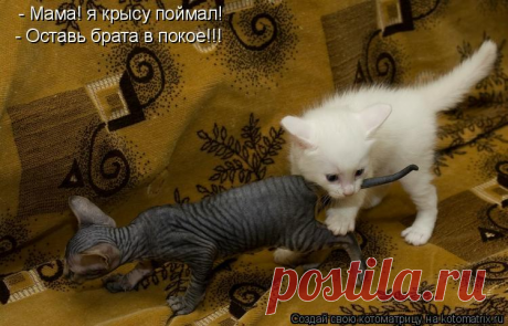 Улыбнись!