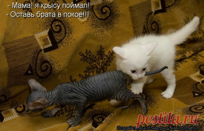 Улыбнись!