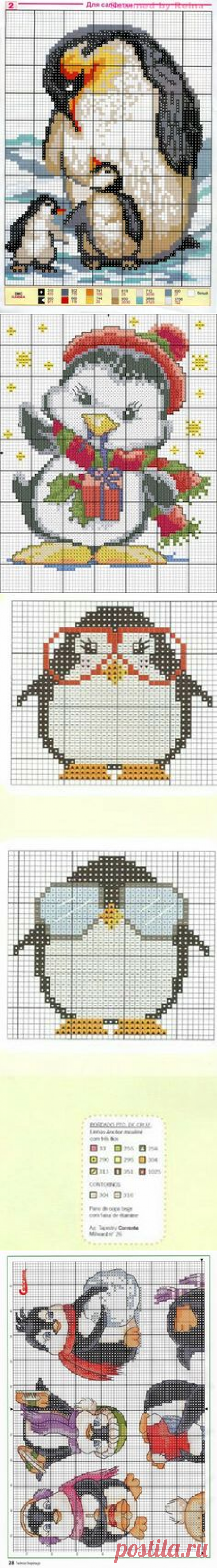 (128) Penguin Cross stitch | ponto de cruz bebé