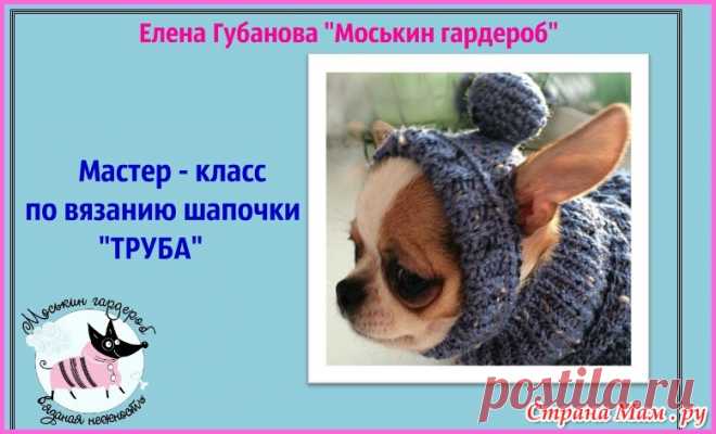 Мастер-класс по вязанию шапочки собаке 