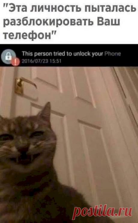 5539321f.jpg (526×850)