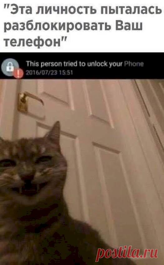 5539321f.jpg (526×850)