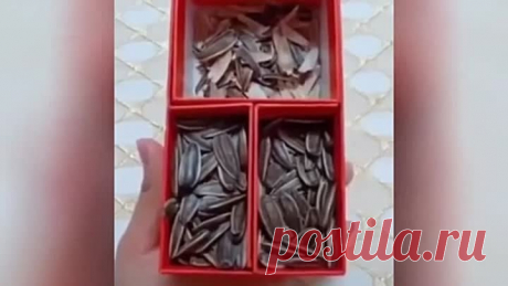 Домашние советы на все случаи жизни