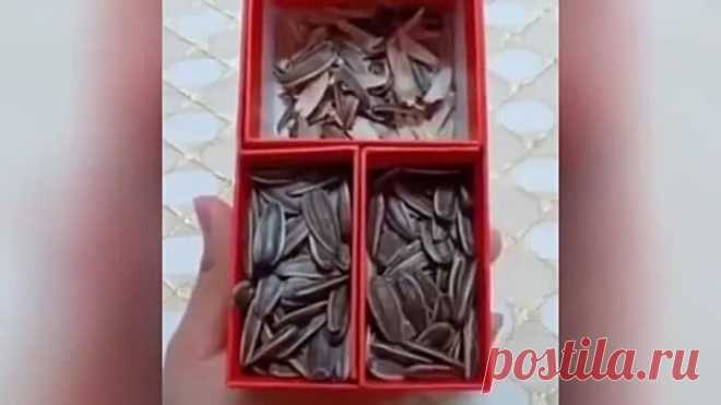 Домашние советы на все случаи жизни