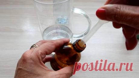 Cómo deshacerse de moscas y mosquitos con un solo producto de farmacia económico / Homebodies