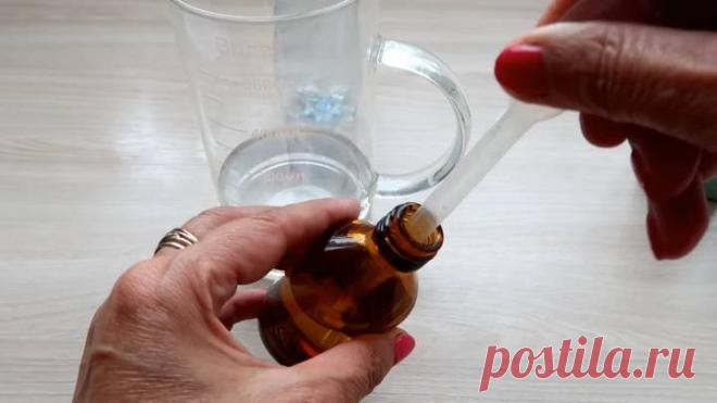 Cómo deshacerse de moscas y mosquitos con un solo producto de farmacia económico / Homebodies