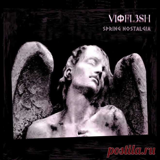 Vioflesh - Spring Nostalgia (Single) (2024) 320kbps / FLAC