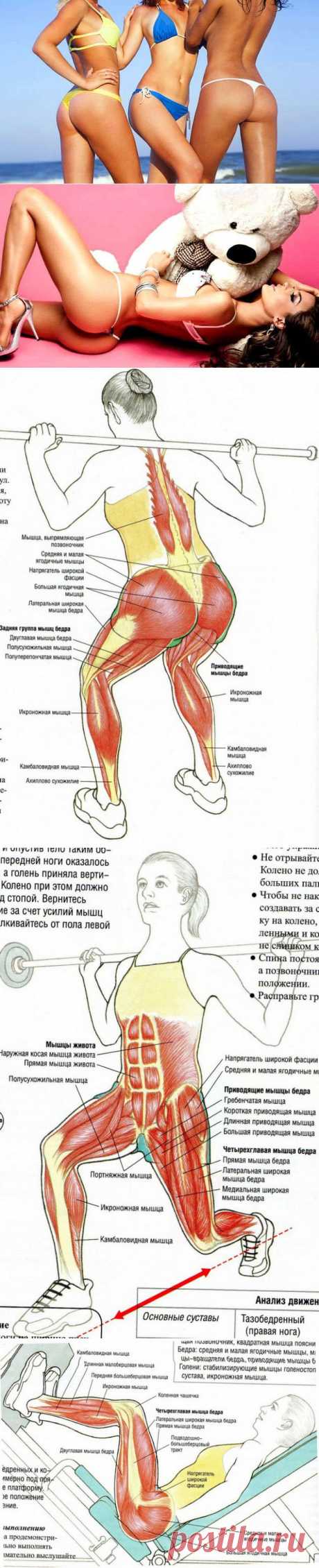 Как накачать бразильские ягодицы | Будь в форме!