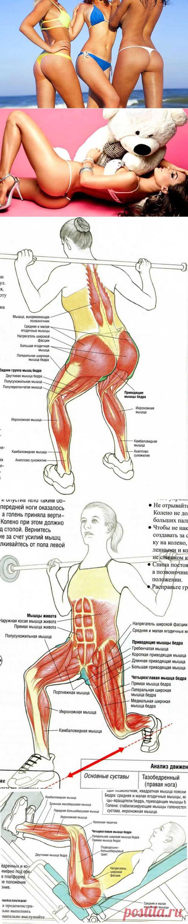 Как накачать бразильские ягодицы | Будь в форме!